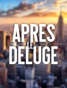 Après le déluge