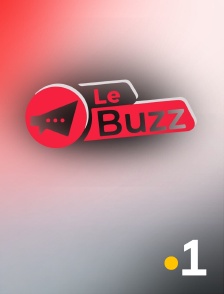 La 1ère Guyane - Le buzz