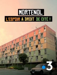 France 3 - Mortenol, l'espoir à le droit de cité