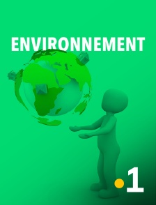 La 1ère Guyane - Edition spéciale COP30