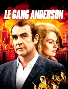Le gang Anderson