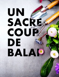 Un sacré coup de balai