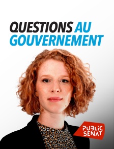 Public Sénat - Questions au gouvernement