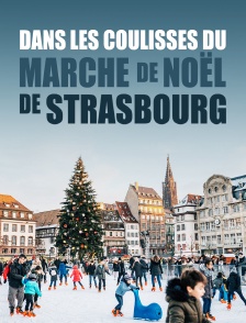 Dans les coulisses du marché de Noël de Strasbourg