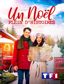 TF1 - Un Noël plein d'histoires