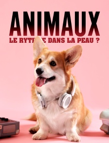 Animaux : Le rythme dans la peau ?