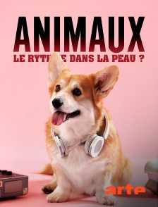 Arte - Animaux : Le rythme dans la peau ?