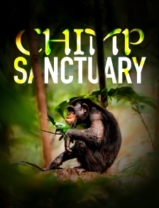 Chimp Sanctuary
