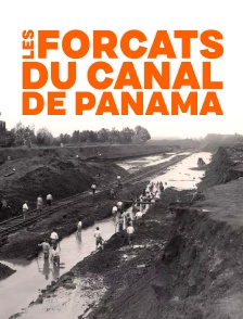 Les forçats du canal de Panama