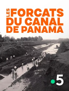 France 5 - Les forçats du canal de Panama