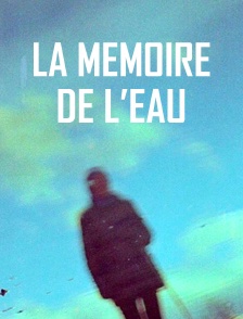 La mémoire de l'eau
