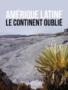 Amérique Latine, le continent oublié
