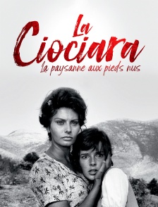 La Ciociara : la paysanne aux pieds nus