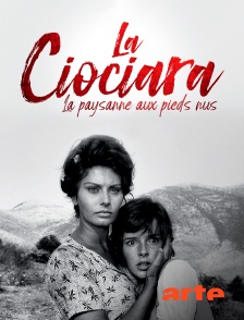 La Ciociara : la paysanne aux pieds nus