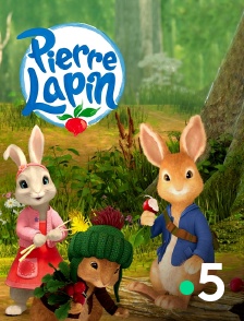 France 5 - Pierre Lapin