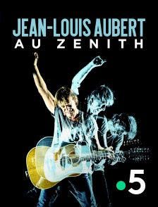 France 5 - Jean-Louis Aubert au Zénith