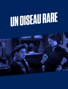 Un oiseau rare