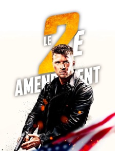 Le 2e amendement