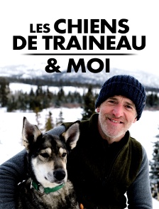 Les chiens de traineau & moi