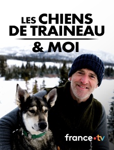 france.tv - Les chiens de traineau & moi
