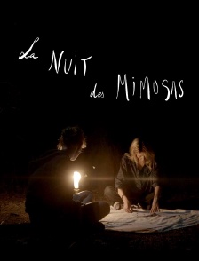 La nuit des mimosas