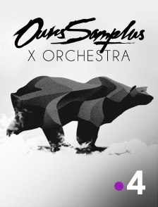 France 4 - Ours Samplus X Orchestra