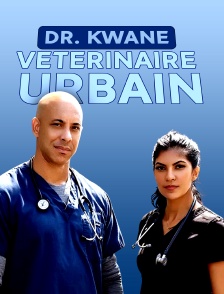 Dr. Kwane, vétérinaire urbain