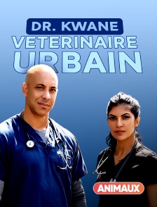 Dr. Kwane, vétérinaire urbain