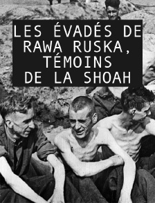Les évadés de Rawa Ruska, témoins de la Shoah
