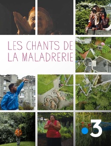 Les chants de la Maladrerie