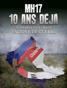 MH17, 10 ans déjà : scénario d'un crash en zone de guerre