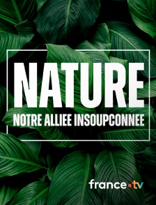 france.tv - Nature, notre alliée insoupconnée