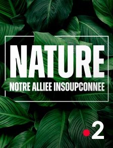France 2 - Nature, notre alliée insoupconnée
