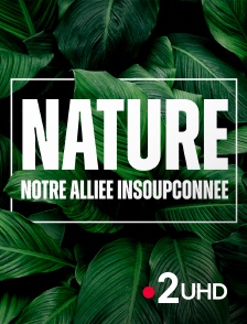 France 2 UHD - Nature, notre alliée insoupconnée