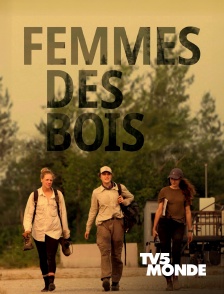 TV5MONDE - Femmes des bois