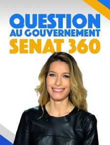 Question au gouvernement - Sénat 360
