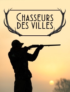 Chasseurs des villes