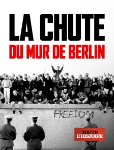 Toute l'Histoire - La chute du mur de Berlin en replay