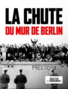 Toute l'Histoire - La chute du mur de Berlin