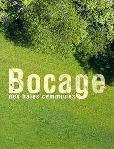 Bocage, nos haies communes