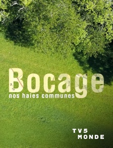 TV5MONDE - Bocage, nos haies communes