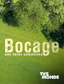 TV5MONDE - Bocage, nos haies communes