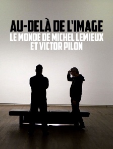 Au-delà de l'image : le monde de Michel Lemieux et Victor Pilon