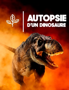 Autopsie d'un dinosaure