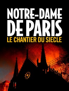 Notre-Dame de Paris, le chantier du siècle
