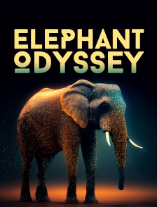 Elephant odyssey