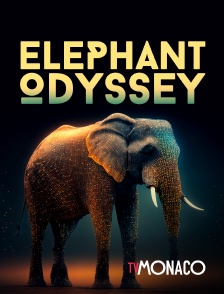 TV Monaco - Elephant odyssey en replay