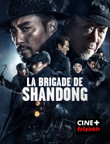 La brigade de Shandong