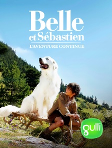 Gulli - Belle et Sébastien : L'aventure continue