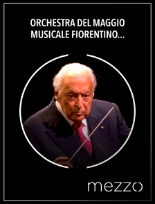 Mezzo - Orchestra del Maggio Musicale Fiorentino, Zubin Mehta: Beethoven - Ljubljana Festival